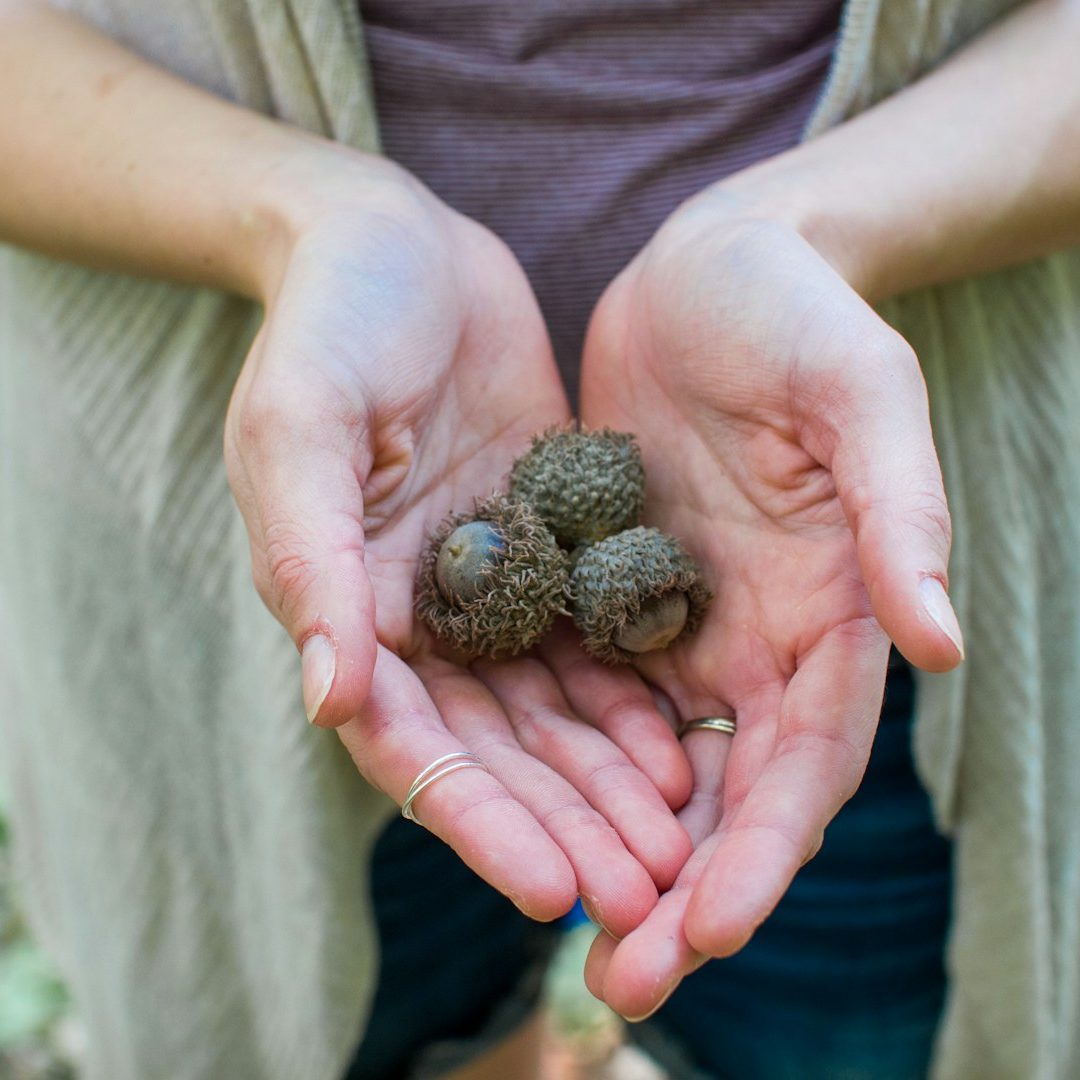 person holding fruits