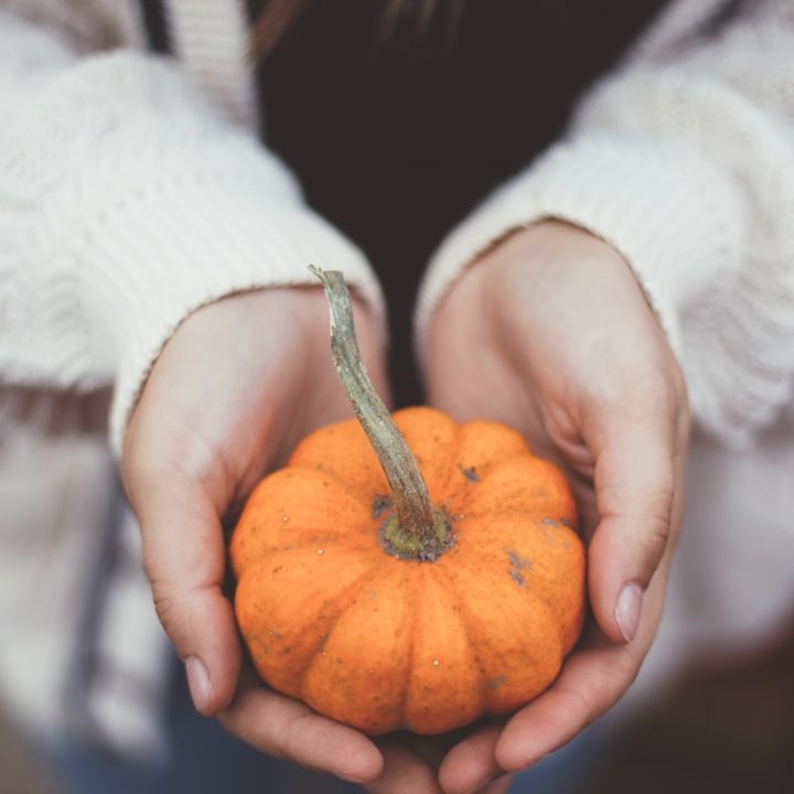 person holding pumpkin